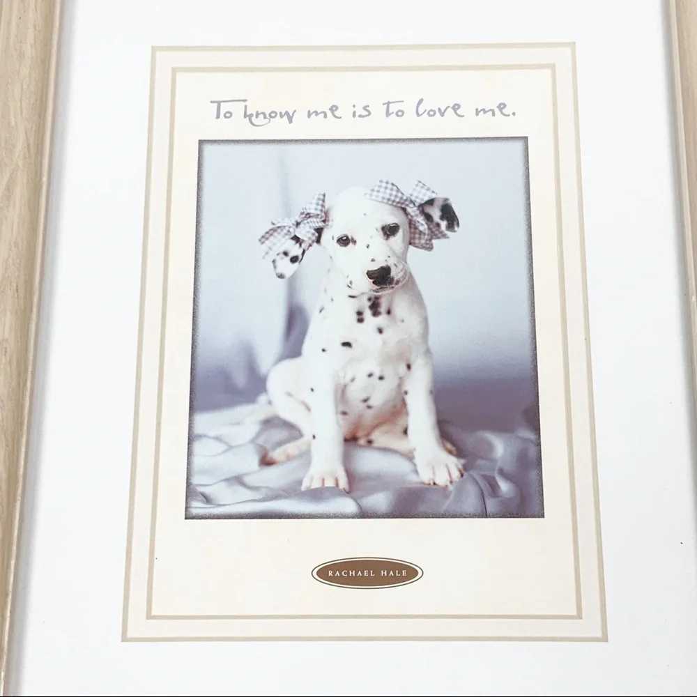 Rachael Hale Dalmatian puppy framed photography print